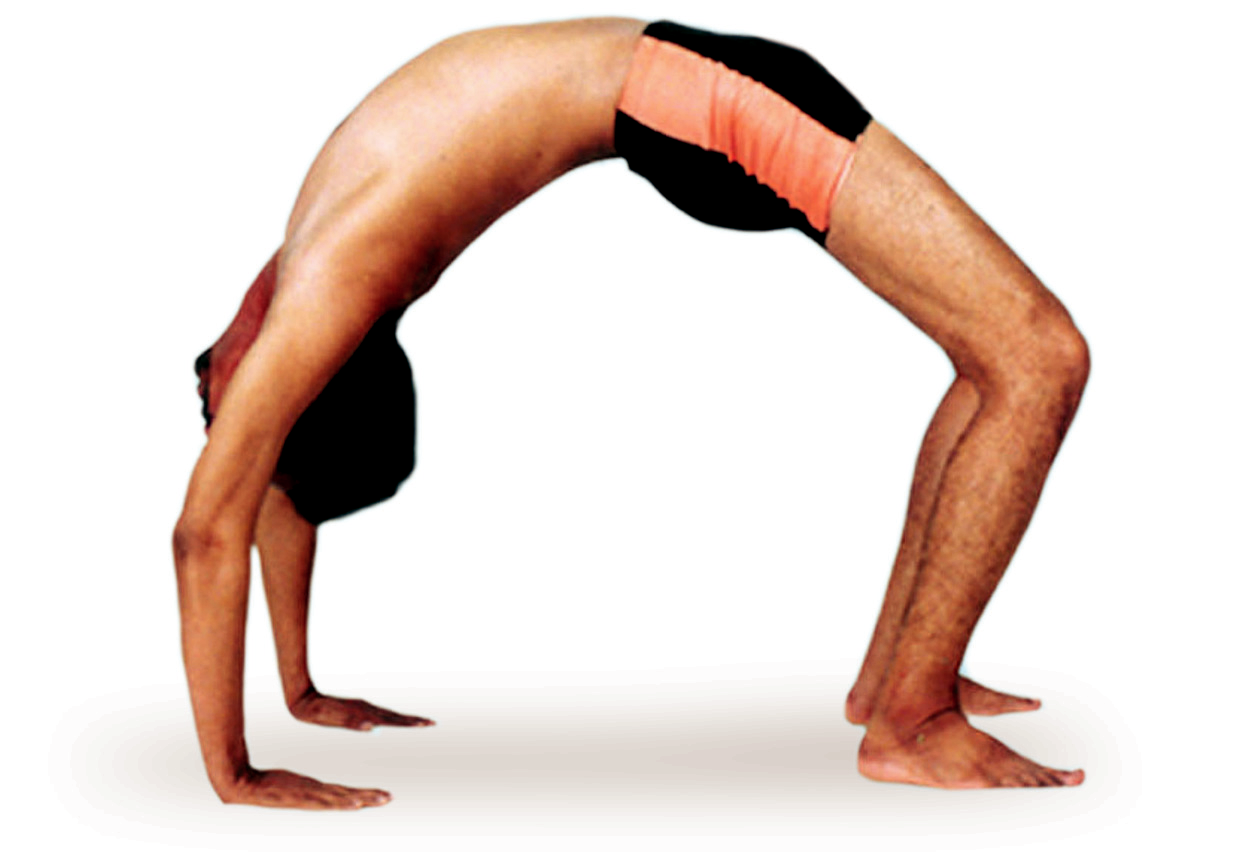 Young attractive yogi woman practicing yoga concept, doing Ardha Chakrasana  exercise, Standing Backward Bend pose, working out wearing black  sportswear, full length silhouette, white studio background Stock Photo |  Adobe Stock