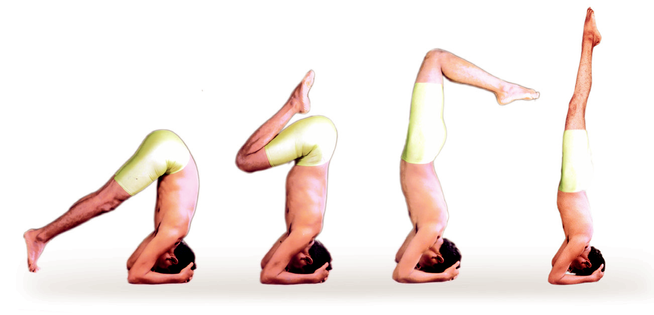 Yoga 101: Guide To Janu Sirsasana - Zuda Yoga